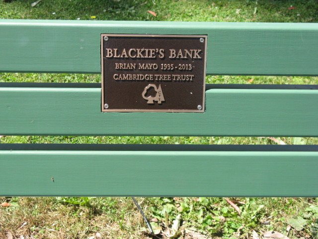 Blackie&#039;s Seat 2. Cambridge Tree Trust